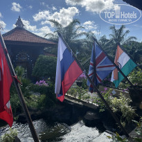 фото из отзыва ID 2713190