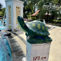 фото из отзыва ID 2713190