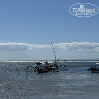 фото из отзыва ID 2713190