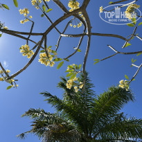 фото из отзыва ID 2713190