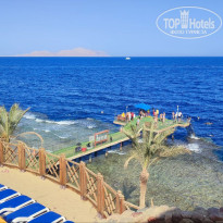 фото из отзыва ID 2713232