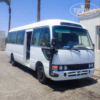 фото из отзыва ID 2713232