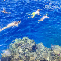 фото из отзыва ID 2713232