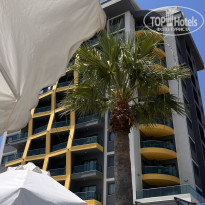 фото из отзыва ID 2713326