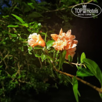 фото из отзыва ID 2713331