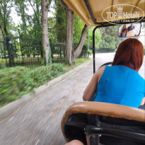 фото из отзыва ID 2713331