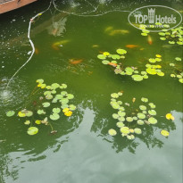 фото из отзыва ID 2713331