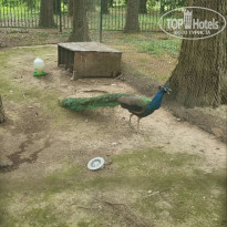 фото из отзыва ID 2713331