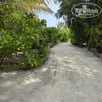 фото из отзыва ID 2713364