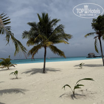 фото из отзыва ID 2713364