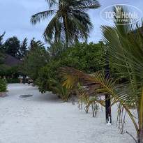 фото из отзыва ID 2713364