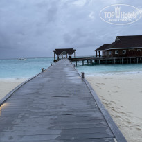 фото из отзыва ID 2713364