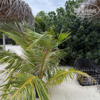 фото из отзыва ID 2713364