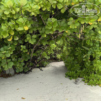 фото из отзыва ID 2713364