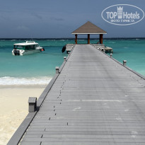 фото из отзыва ID 2713364