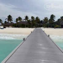 фото из отзыва ID 2713364