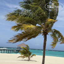 фото из отзыва ID 2713364