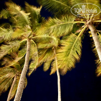 фото из отзыва ID 2713364