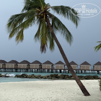 фото из отзыва ID 2713364