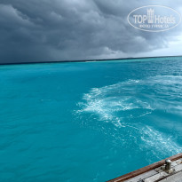 фото из отзыва ID 2713364