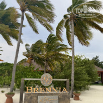 фото из отзыва ID 2713364