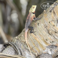 фото из отзыва ID 2713364