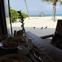 фото из отзыва ID 2713364