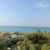 фото из отзыва ID 2713373