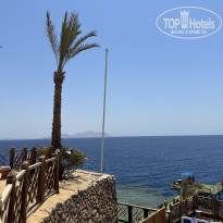 фото из отзыва ID 2713382