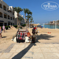 фото из отзыва ID 2713391