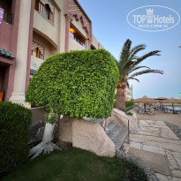 фото из отзыва ID 2713391