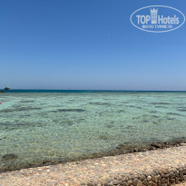 фото из отзыва ID 2713391