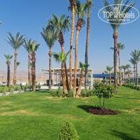 фото из отзыва ID 2713390