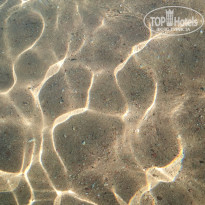 фото из отзыва ID 2713390