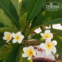 фото из отзыва ID 2713390