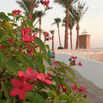 фото из отзыва ID 2713390