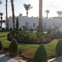 фото из отзыва ID 2713390