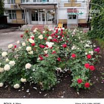 фото из отзыва ID 2713401