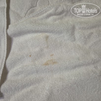 фото из отзыва ID 2713449