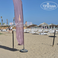 фото из отзыва ID 2713464