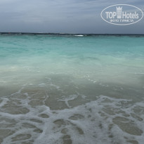 фото из отзыва ID 2713484