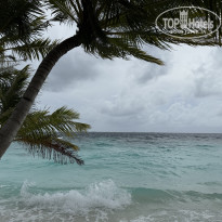 фото из отзыва ID 2713484