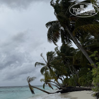 фото из отзыва ID 2713484