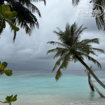 фото из отзыва ID 2713484