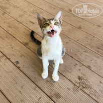 фото из отзыва ID 2713479