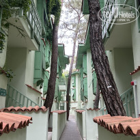 фото из отзыва ID 2713496