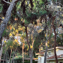 фото из отзыва ID 2713496