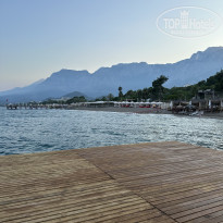 фото из отзыва ID 2713496