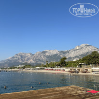 фото из отзыва ID 2713496