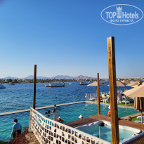 фото из отзыва ID 2713495